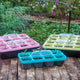 Vizible plant tray kit showing three pastel 6-cell seedling trays with clear domes and seedlings on a wooden table in a garden