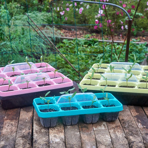 Vizible plant tray kit showing three pastel 6-cell seedling trays with clear domes and seedlings on a wooden table in a garden