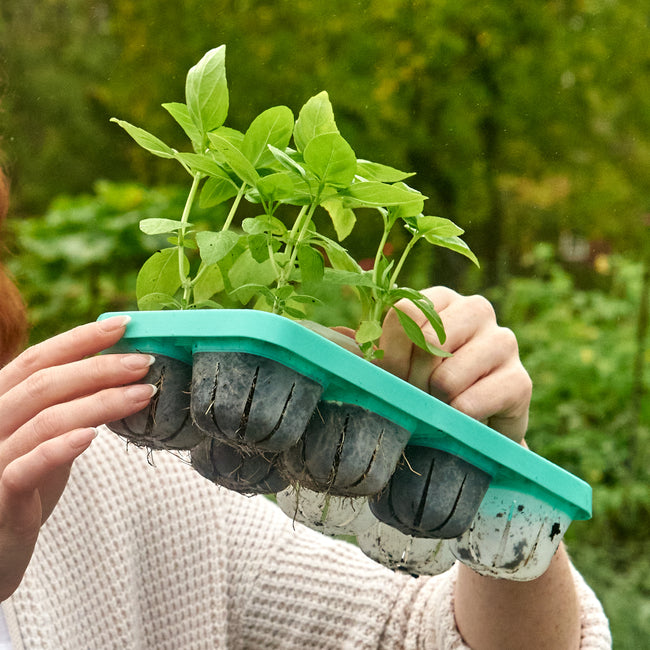 Angled view of Vizible plant tray kit showing clear domed lid and green seedling tray held by hands