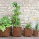 HEMP PLANTER-POT/PLANTER