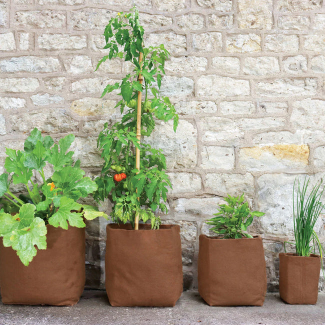HEMP PLANTER-POT/PLANTER