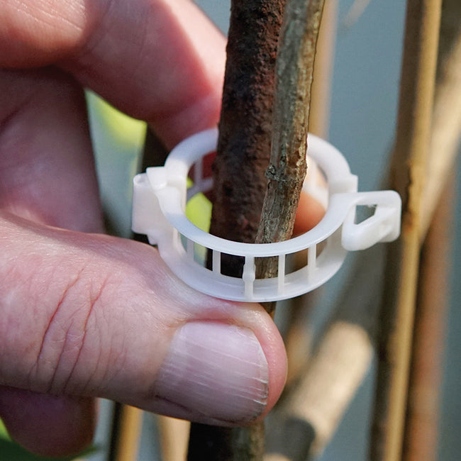 Close-up of compostable trellis clip showcasing hinged snap-to-lock closure attached to a bamboo stake with a hand holding the clip