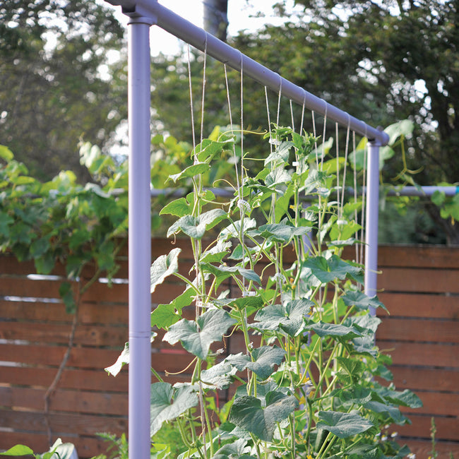 Front view of Freyr trellis showing dusty blue metal frame with vertical twine supports and climbing vines in a backyard