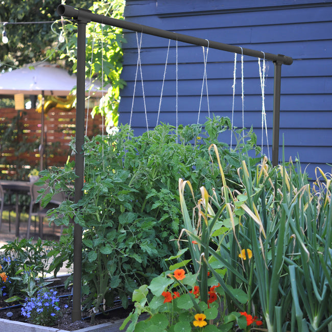 Front view of The Freyr Trellis showcasing arched metal support with climbing plants in a garden