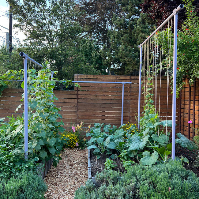 Freyr trellis support in dusty blue with two freestanding metal frames, crossbars and twine for climbing plants over raised beds