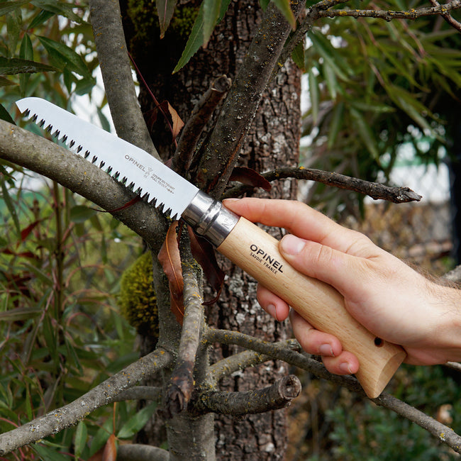 Hand using a Opinel No 12 saw to trim branches on a tree