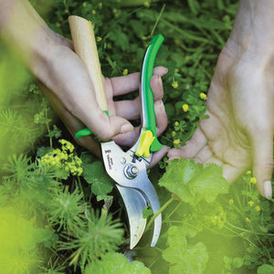 Angled view of Greenmeadow hand pruner showcasing stainless-steel blades and varnished beech handle on white background