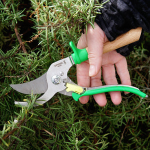 Hand holding Opinel greenmeadow hand pruner gardening shears against a background of greenery