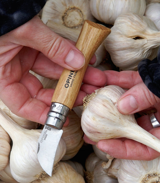 Hand holding a Opinel chestnut & garlic knife with a wooden handle over garlic bulbs.