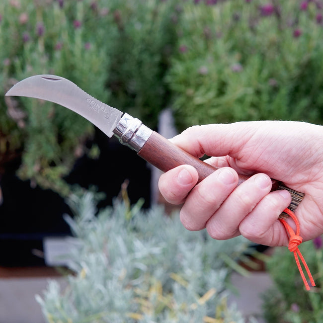 Hand holding an Opinel mushroom knife with a blurred garden background