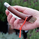 Hand holding a Opinel mushroom knife with a wooden handle and brush attachment, outdoors.