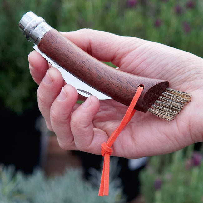 Hand holding a Opinel mushroom knife with a wooden handle and brush attachment, outdoors.