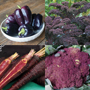 Front view of Purple Power Seed Collection showing an assortment of purple vegetables and seed packets on a dark surface