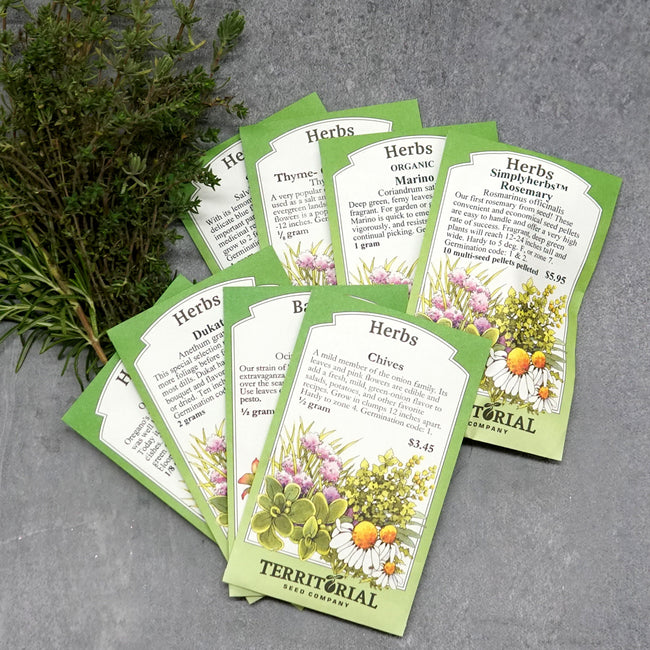 Front view of Culinary Herb Garden Essentials kit showing eight fanned herb seed packets beside a fresh herb sprig on light gray background