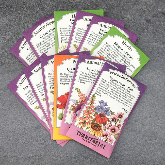 Front view of Everlasting Flower Garden Kit seed packets fanned to show colorful packet artwork on light background