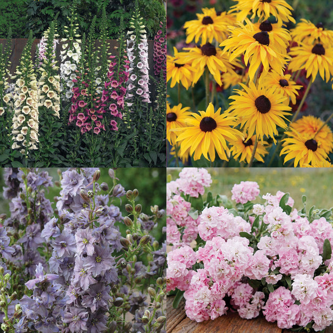 Collage of Favorite Cutting Flowers garden kit showing mixed colorful cut blooms