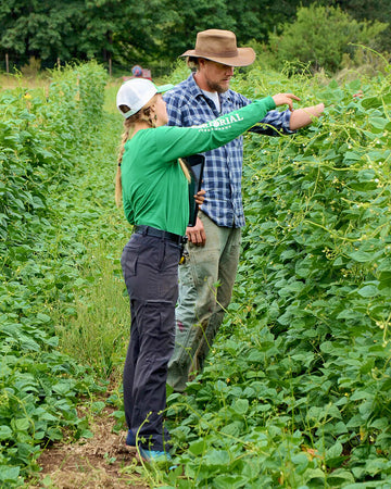 Two people in a field, one wearing a green shirt and white cap, the other in a plaid shirt and hat, examining plants.
