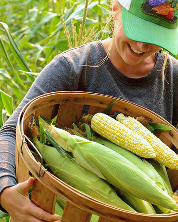 Woman holding a basket of corn in a field