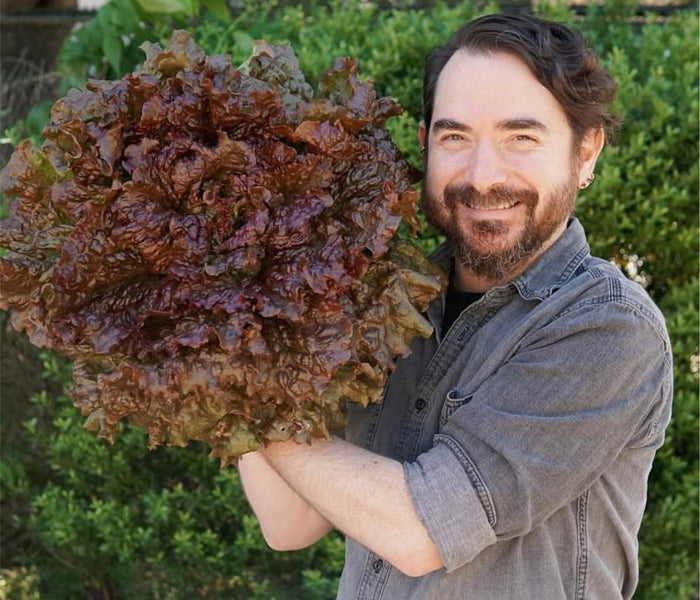 Man holding gigantic head of lettuce.
