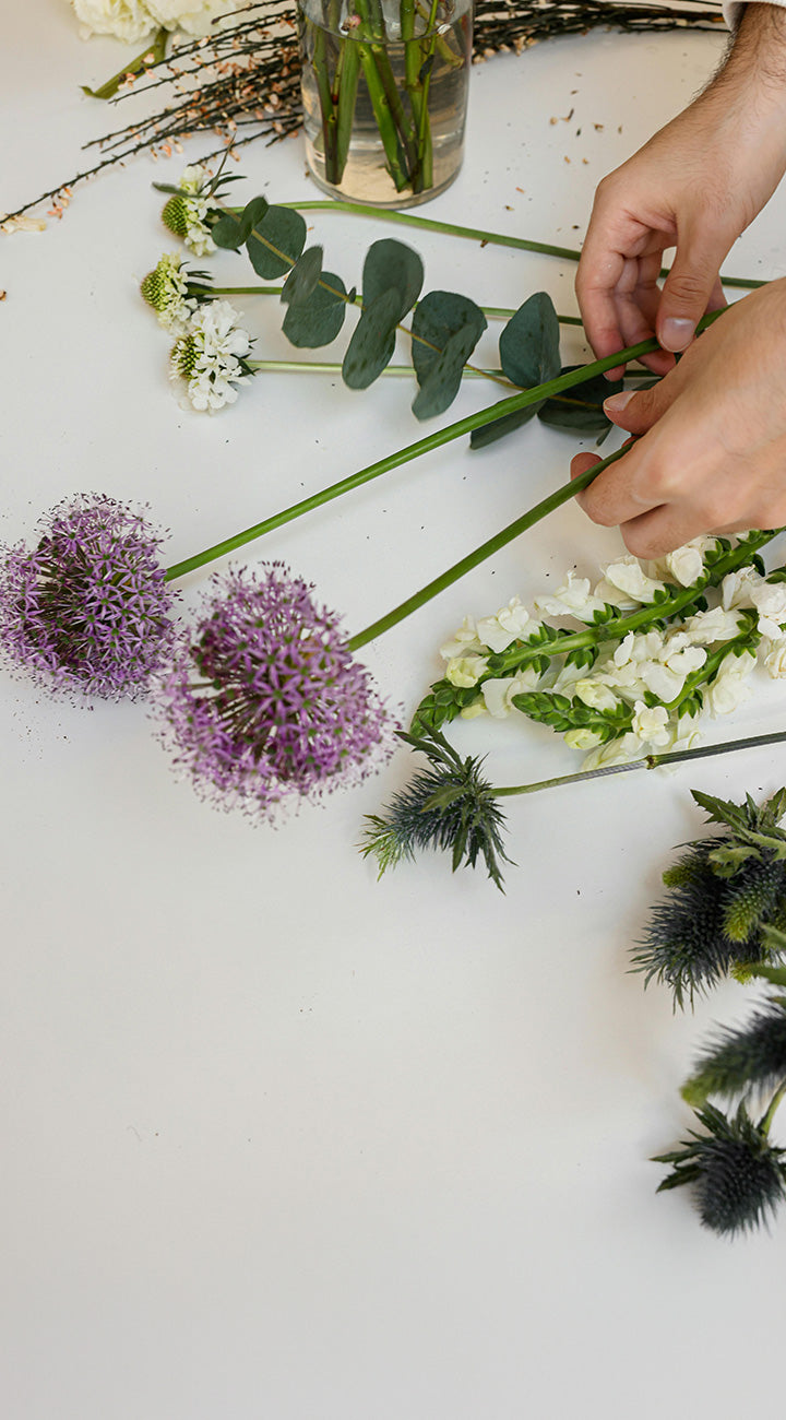 Person arranging allium flowers on a light surface
