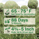 Infographic showing growing tips for artichoke: 65–75°F, 88 days to harvest, and 4–5 inch artichoke buds
