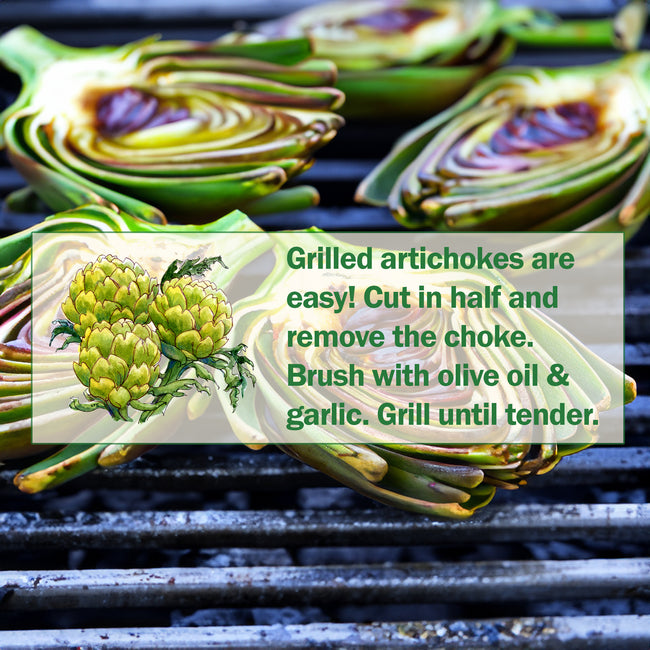banner showing usage tips for Wonder artichoke, with photos and brief harvesting and cooking suggestions