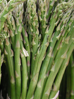 Bunch of green asparagus tied together with a white band
