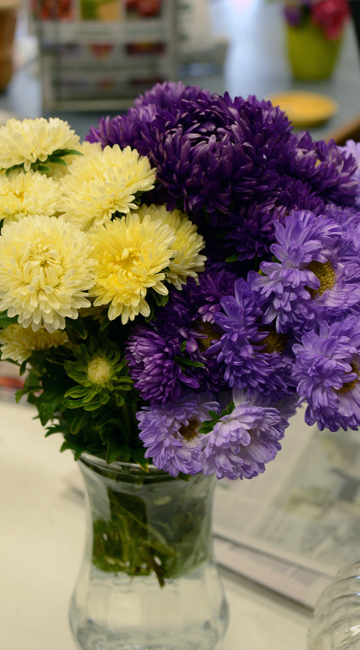 Bouquet of yellow and purple aster flowers in a clear vase on a table.