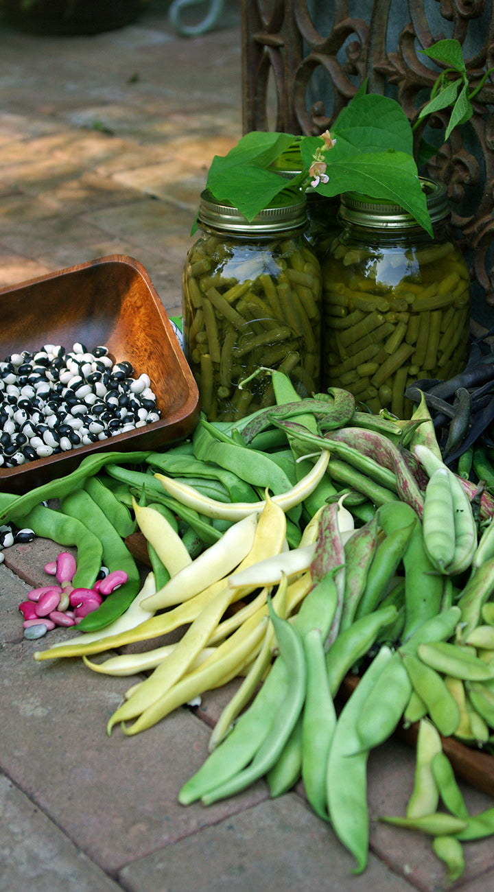Jars of pickled green beans with fresh green beans and flowers on a stone surface