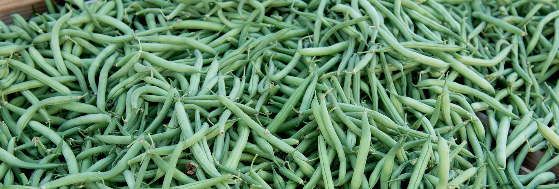 Close-up of green beans on a wooden surface