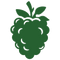 Green silhouette of a blackberry on a white background