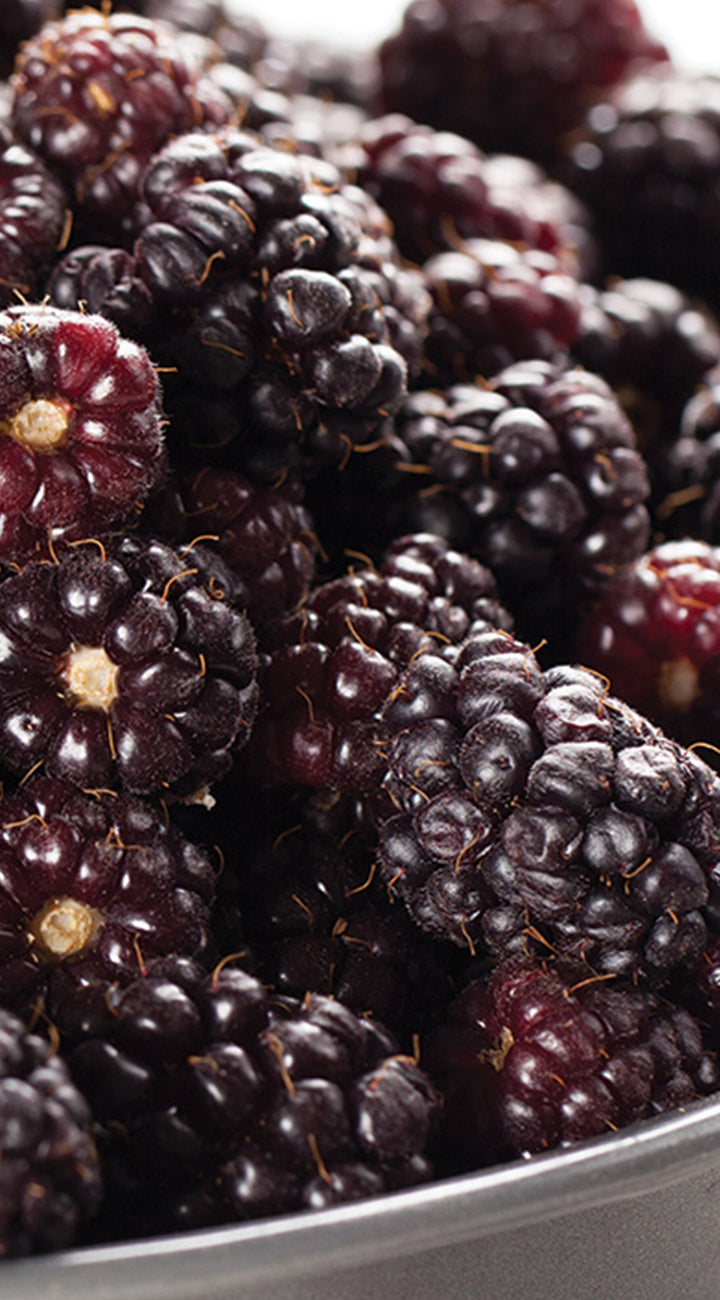 Close-up of dark purple boysenberries  in a bowl