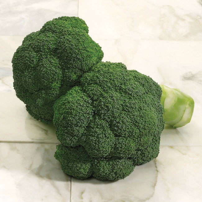 IMPERIAL-BROCCOLI