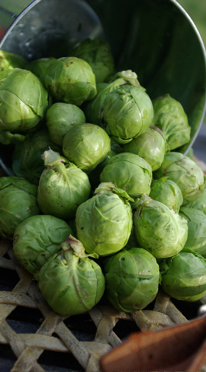 Brussels sprouts in a metal basket on a woven surface
