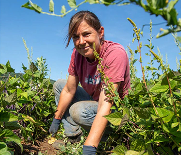 person planting seeds in a garden