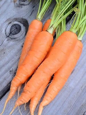 Bunch of carrots on a wooden surface