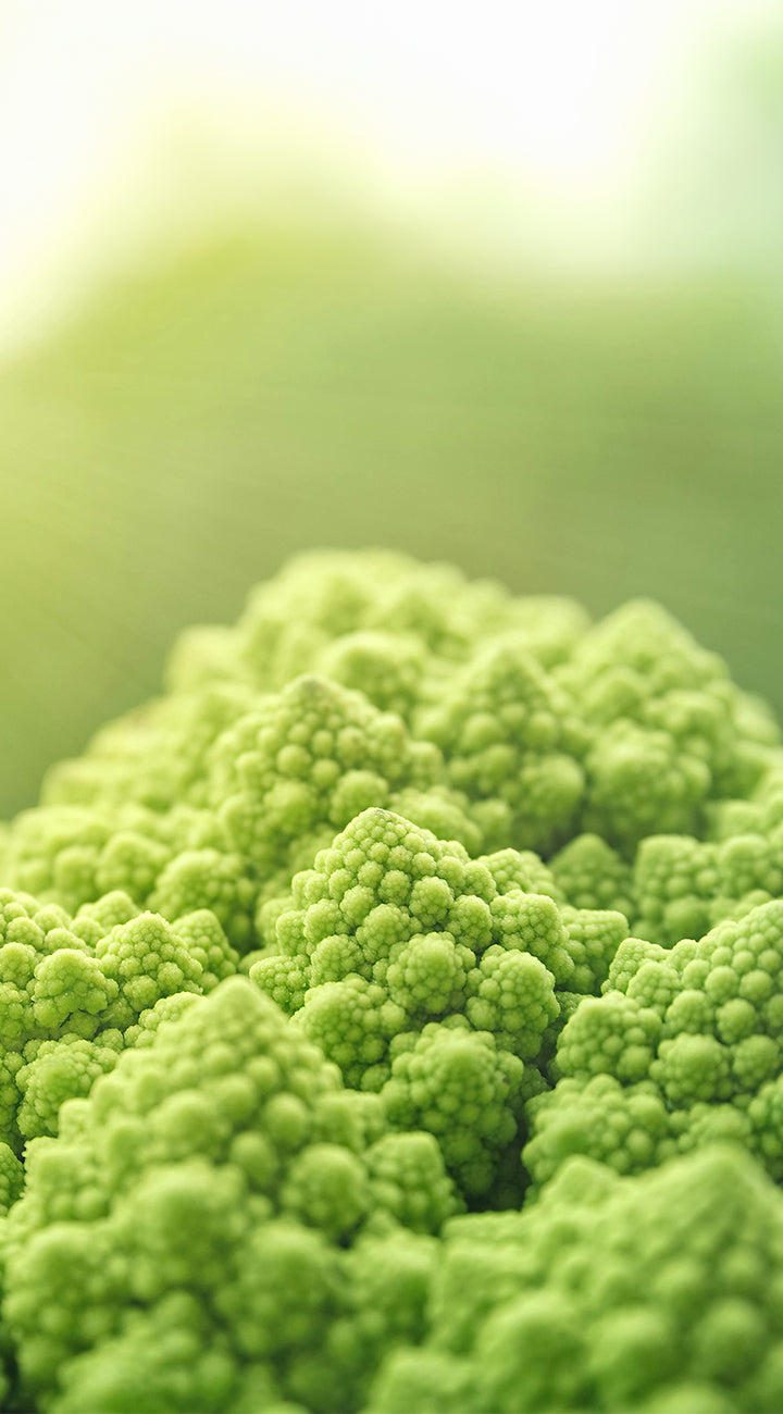Close-up of a green cauliflower head with a blurred green background