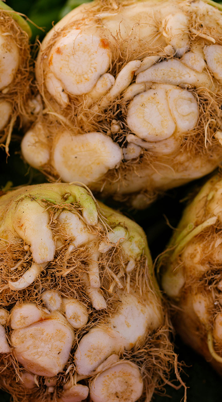 Close-up of a celeriac root with visible texture and color variations.