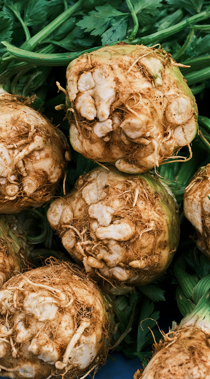 Close-up of celeriac roots with green leaves in the background