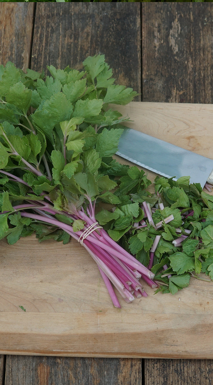 Bundles of fresh celery with pink stems on a wooden cutting board against a rustic wooden background.