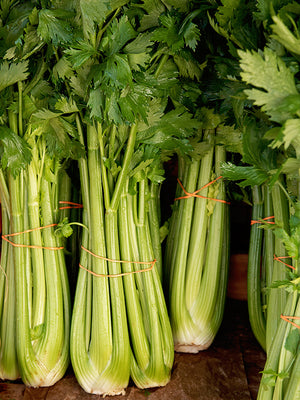 Bundles of celery with green leaves tied together on a wooden surface