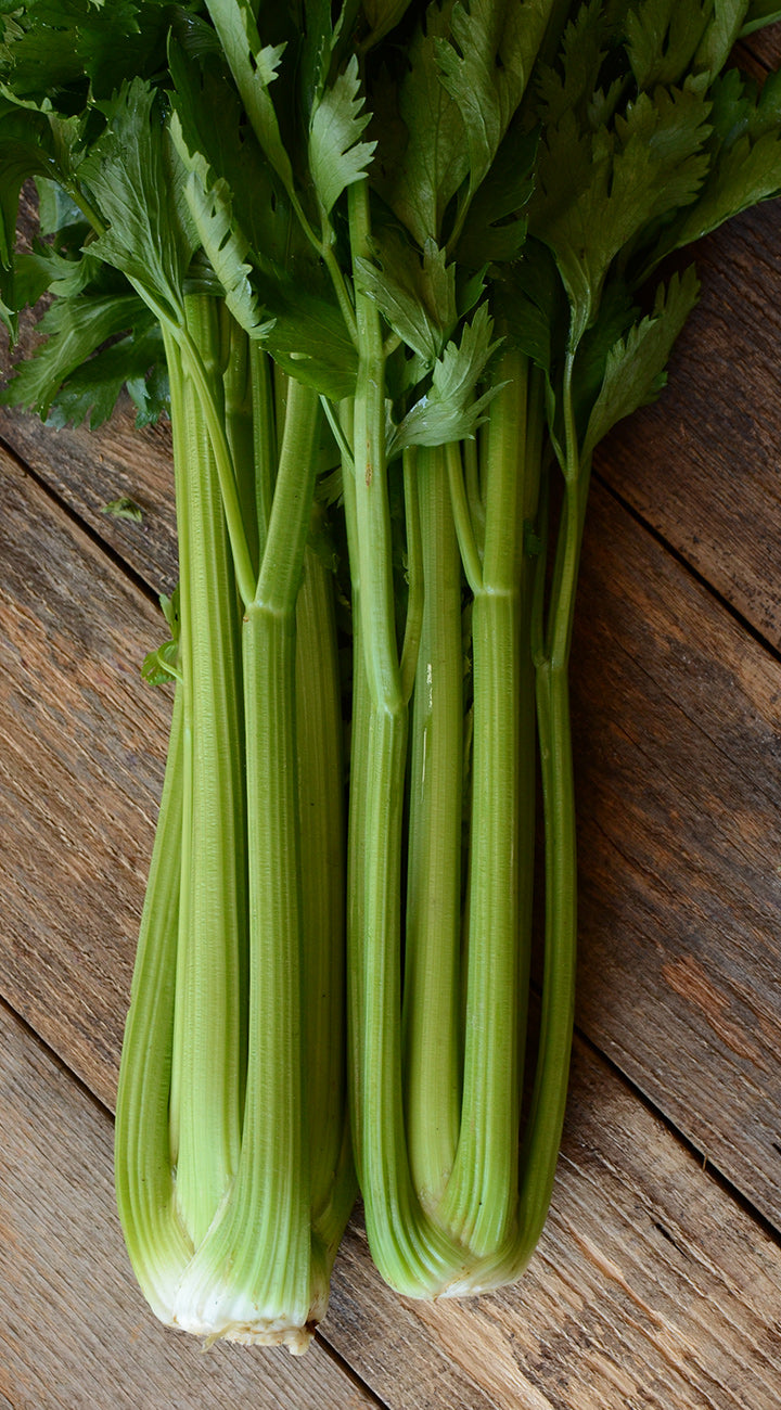 Bunch of celery on a wooden surface