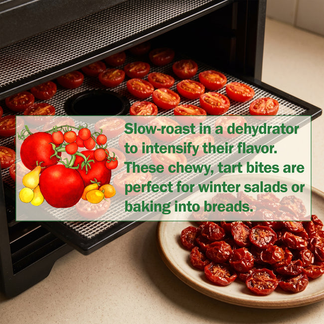 Bartelly Tomato