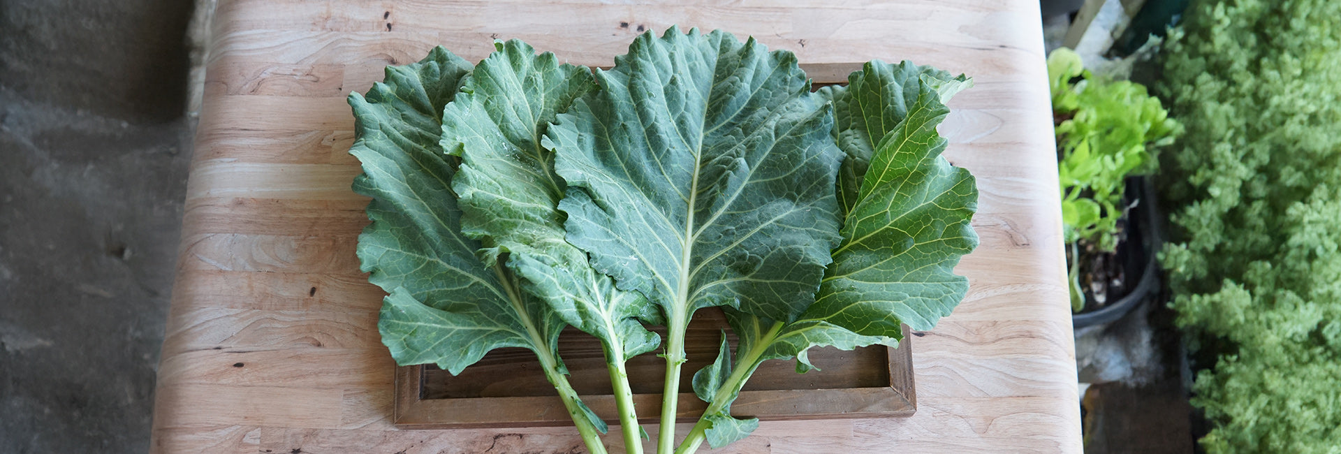 Green leafy collard greens on a wooden cutting board with a blurred background