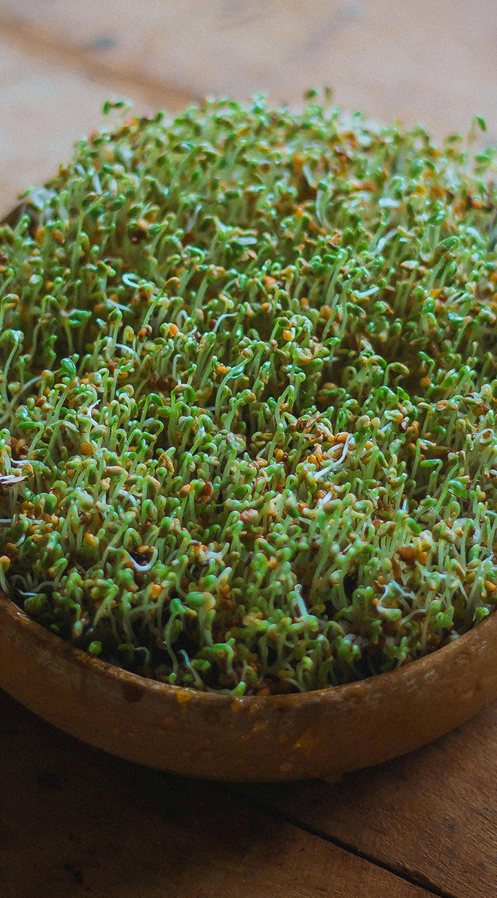 Close-up of green cress sprouts in a wooden bowl on a wooden surface