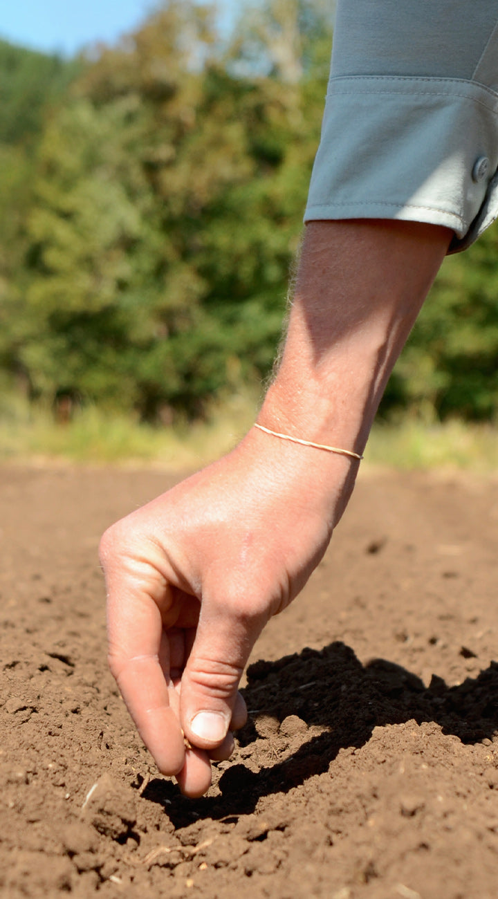 Hand planting a seed in soil with a blurred natural background