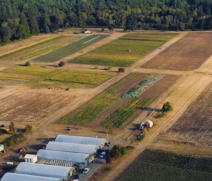 Aerial view of a farm with various agricultural fields and greenhouses.