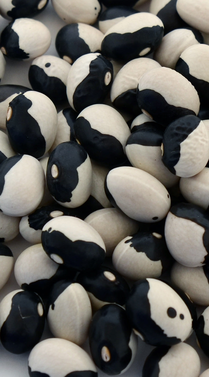 Close-up of black and white beans on a light background