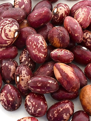 Close-up of dried red beans with brown speckles on a white background