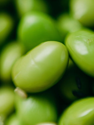 Close-up of green edamame beans with a blurred background